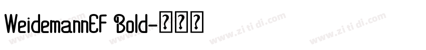 WeidemannEF Bold字体转换